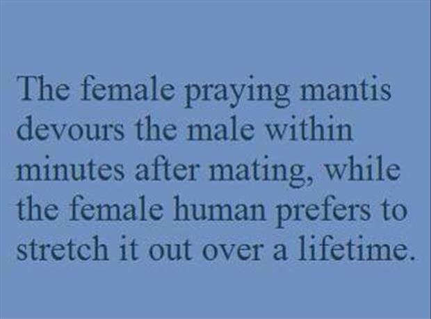 sky - The female praying mantis devours the male within minutes after mating, while the female human prefers to stretch it out over a lifetime.