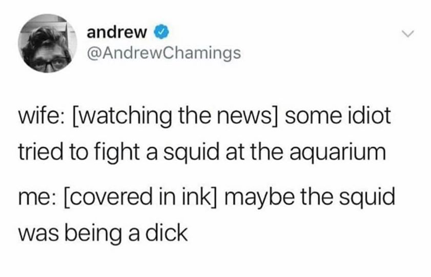 white people love memes - andrew wife watching the news some idiot tried to fight a squid at the aquarium me covered in ink maybe the squid was being a dick