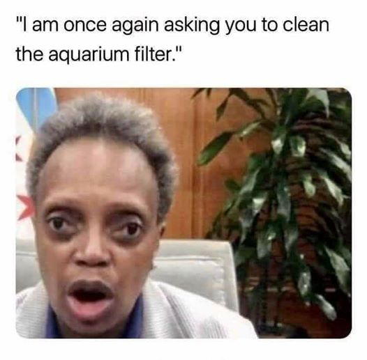 photo caption - "I am once again asking you to clean the aquarium filter."