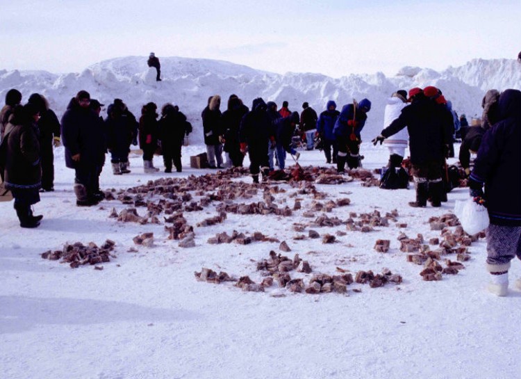 Igunaq-The Inuits in Alaska preserve their meat by cutting it into big steaks then burying it in the ground for months where it ferments in the autumn then freezes in the fall.