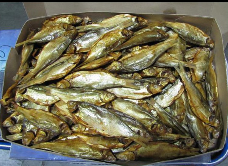 This is a very popular dish throughout the Sham-el-Nessim festival in Egypt. It is made by sun-drying mullet then preserving it in salt. Fesikh poisonings are common because the recipes are passed down through generations, making it difficult to get right.