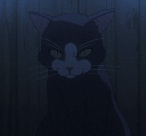 Dantes Wings Gifs n Things