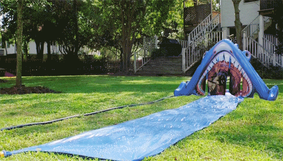 Dantes Wings Gifs n Things