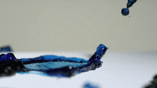 Dantes Wings Gifs n Things