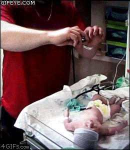 Dantes Wings Gifs n Things