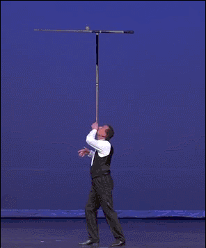 Dantes Wings Gifs n Things