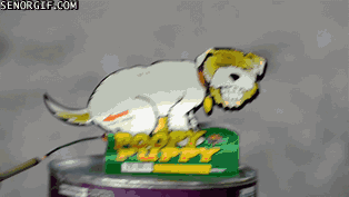 Dantes Wings Gifs n Things