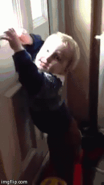 Dantes Wings Gifs n Things