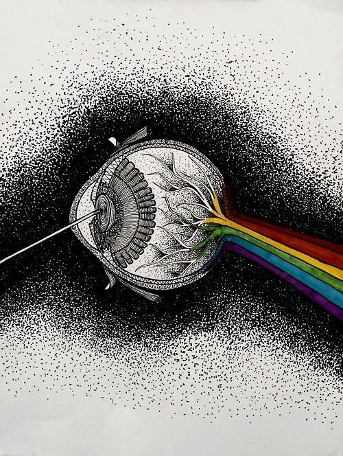 Dantes Wings Gifs n Things