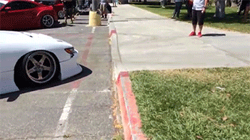 Dantes Wings Gifs n Things