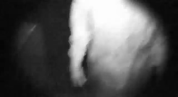 Dantes Wings Gifs n Things