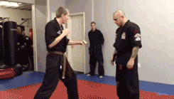 Dantes Wings Gifs n Things