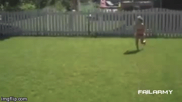 Dantes Wings Gifs n Things