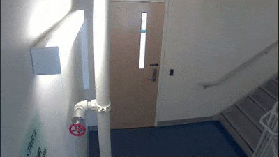 Dantes Wings Gifs n Things