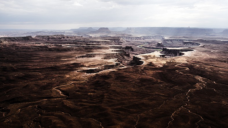 Dantes Wings Gifs n Things