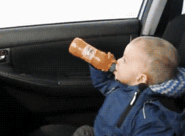 Dantes Wings Gifs n Things