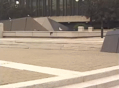 Dantes Wings Gifs n Things