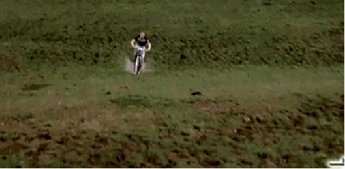 Dantes Wings Gifs n Things