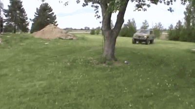 Dantes Wings Gifs n Things