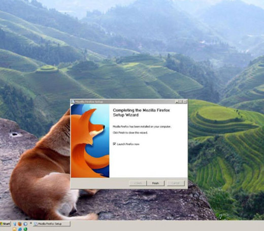 Dantes Wings Gifs n Things