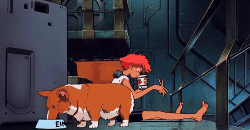 Dantes Wings Gifs n Things