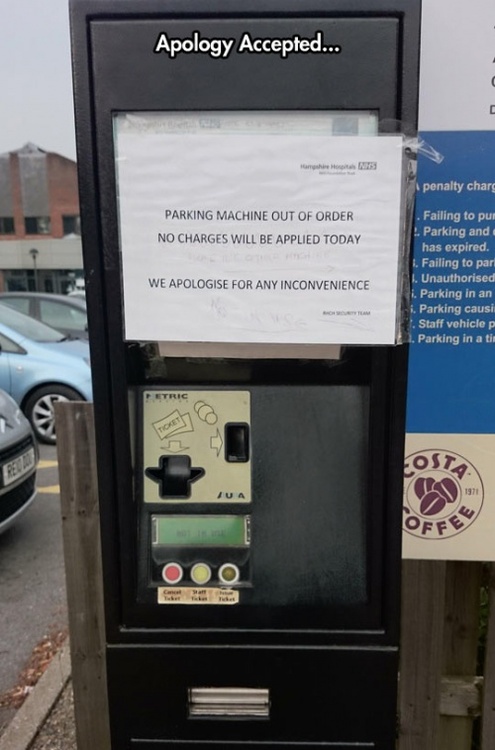 Dantes Wings Gifs n Things