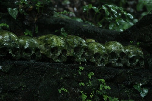 Dantes Wings Gifs n Things