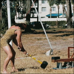 Dantes Wings Gifs n Things