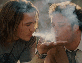 Dantes Wings Gifs n Things