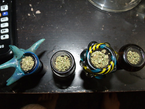 Dantes Wings Gifs n Things