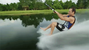 Dantes Wings Gifs n Things