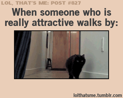 Dantes Wings Gifs n Things