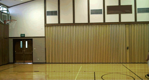 Dantes Wings Gifs n Things