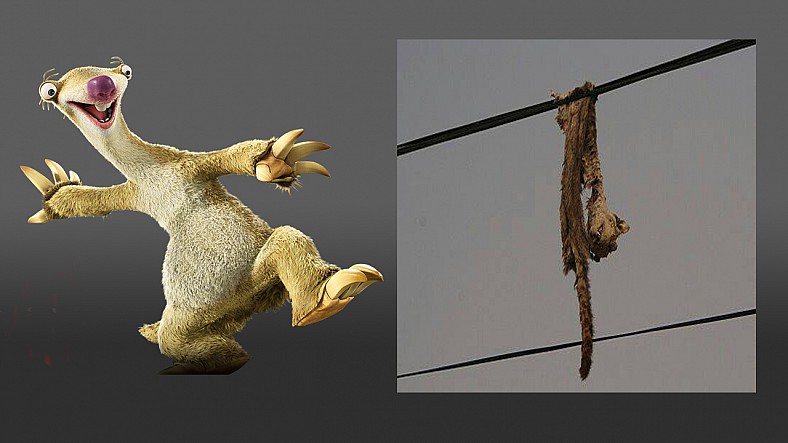 Dantes Wings Gifs n Things