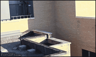 Dantes Wings Gifs n Things