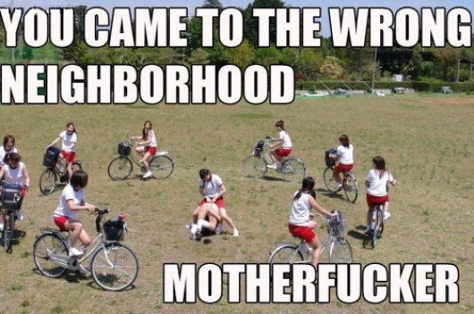 Dantes Wings Gifs n Things