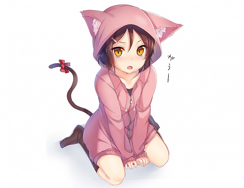 Dantes Wings Gifs n Things