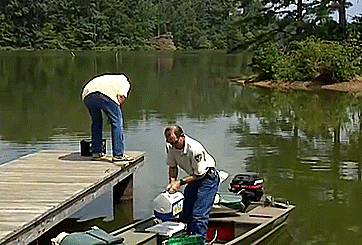 Dantes Wings Gifs n Things