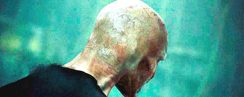 Dantes Wings Gifs n Things