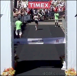 Dantes Wings Gifs n Things