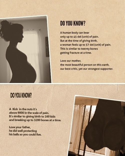 Dantes Wings Gifs n Things