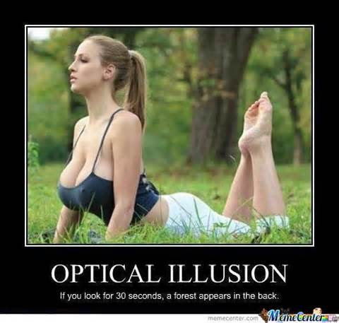 Dantes Wings Gifs n Things