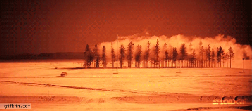 Dantes Wings Gifs n Things