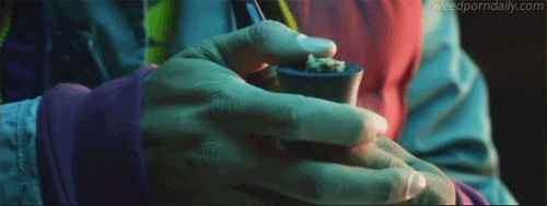 Dantes Wings Gifs n Things