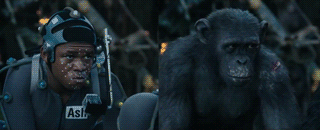 Dantes Wings Gifs n Things