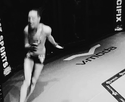 Dantes Wings Gifs n Things