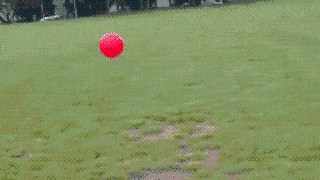 Dantes Wings Gifs n Things