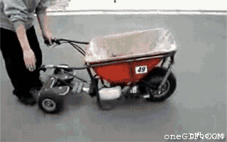 Dantes Wings Gifs n Things