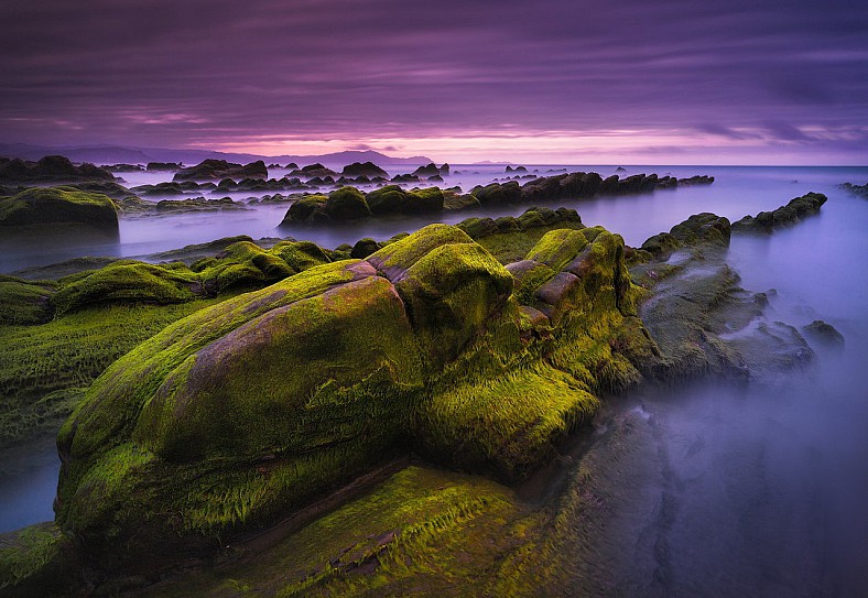 Dantes Wings Gifs n Things