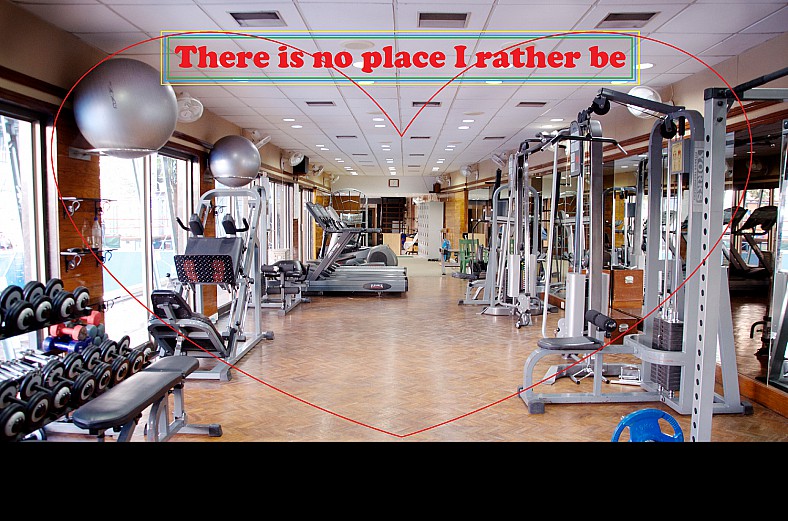 Dantes Wings Gifs n Things